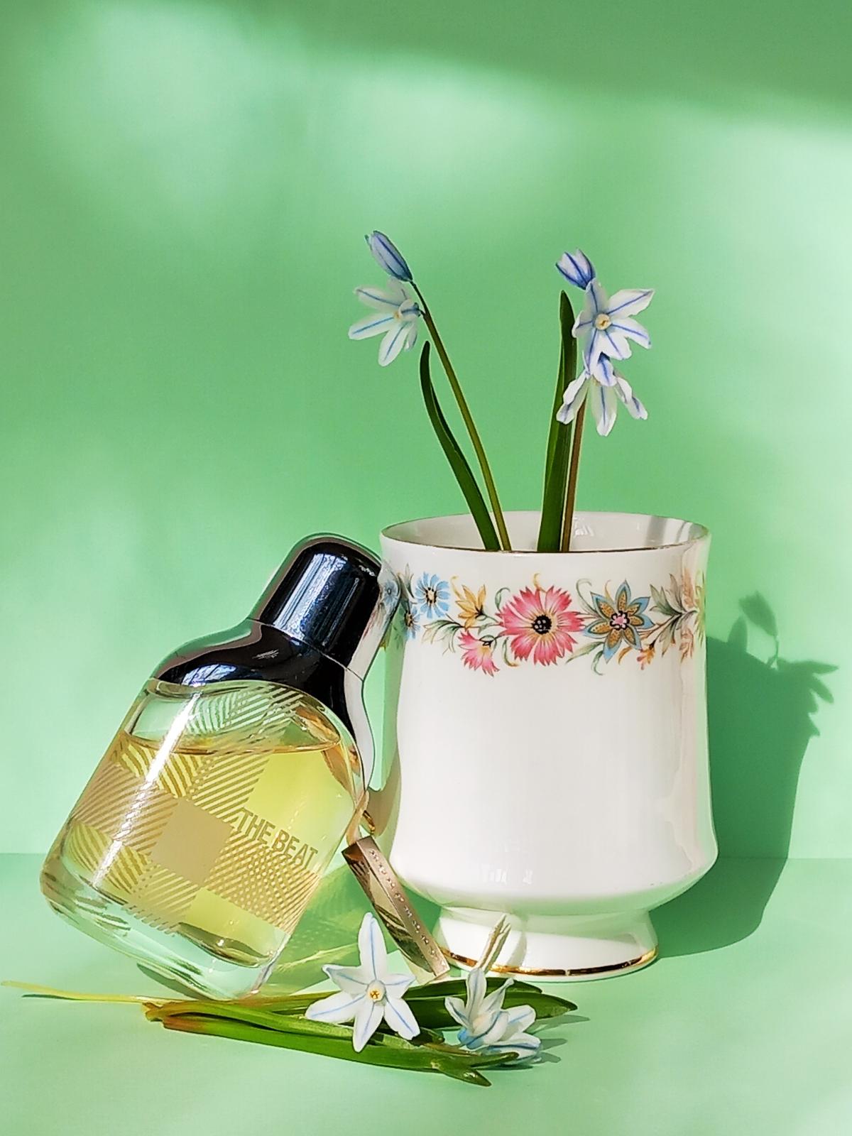 the beat burberry 75ml