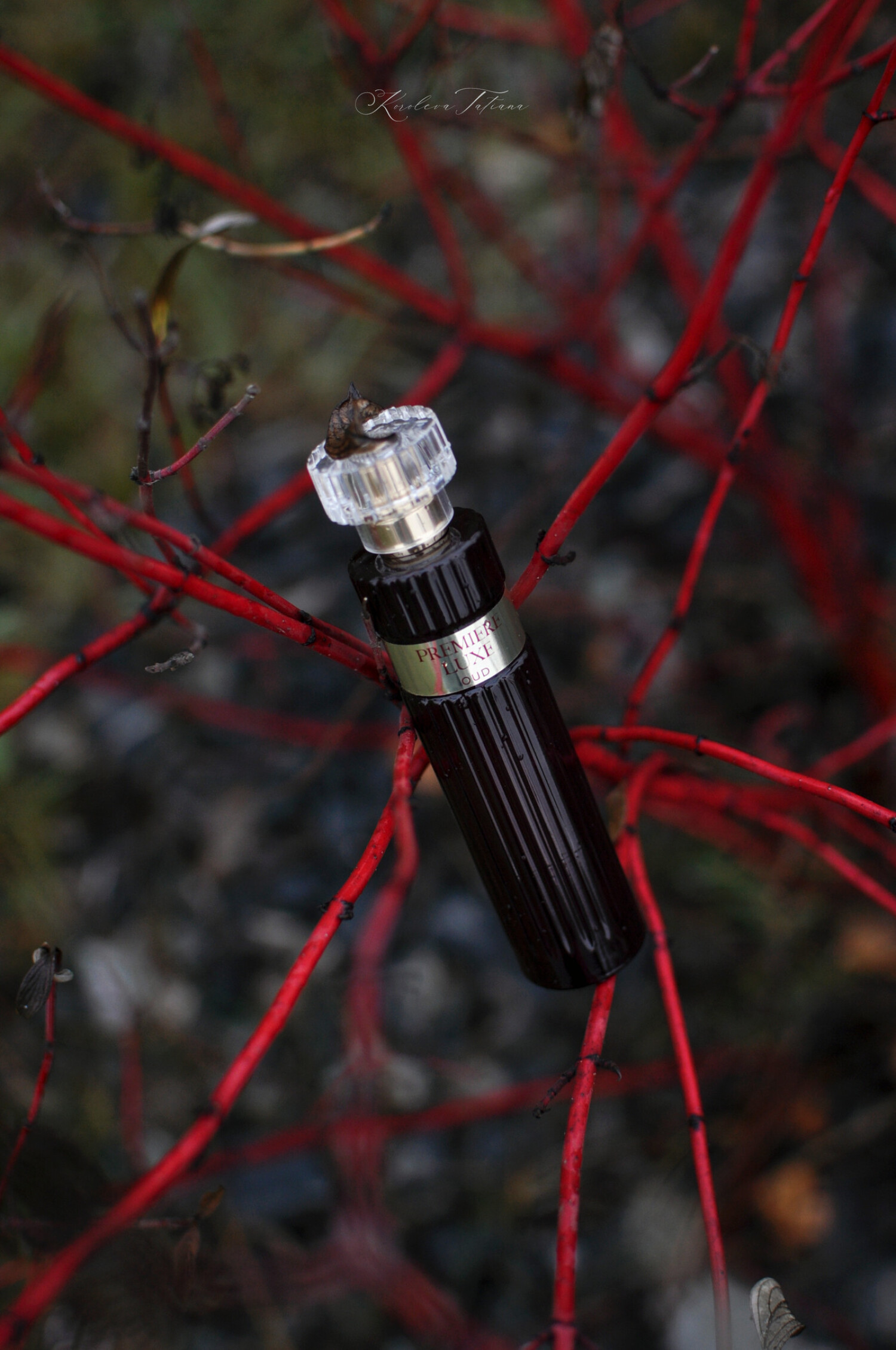 Échelle Télescopique Multi-usage en Aluminium Pliable - Marches