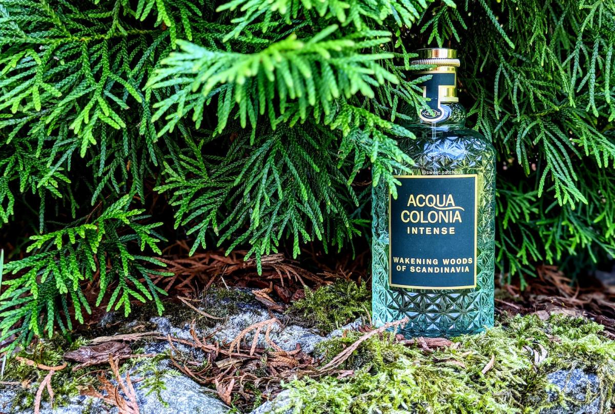 Скандинавия отзывы пациентов. Acqua Colonia intense Wakening Woods of Scandinavia. 4711 Acqua Colonia Wakening Woods of Scandinavia. Духи acqua Colonia intense Wakening Woods of Scandinavia. Аква колония Парфюм 4711 Woods.