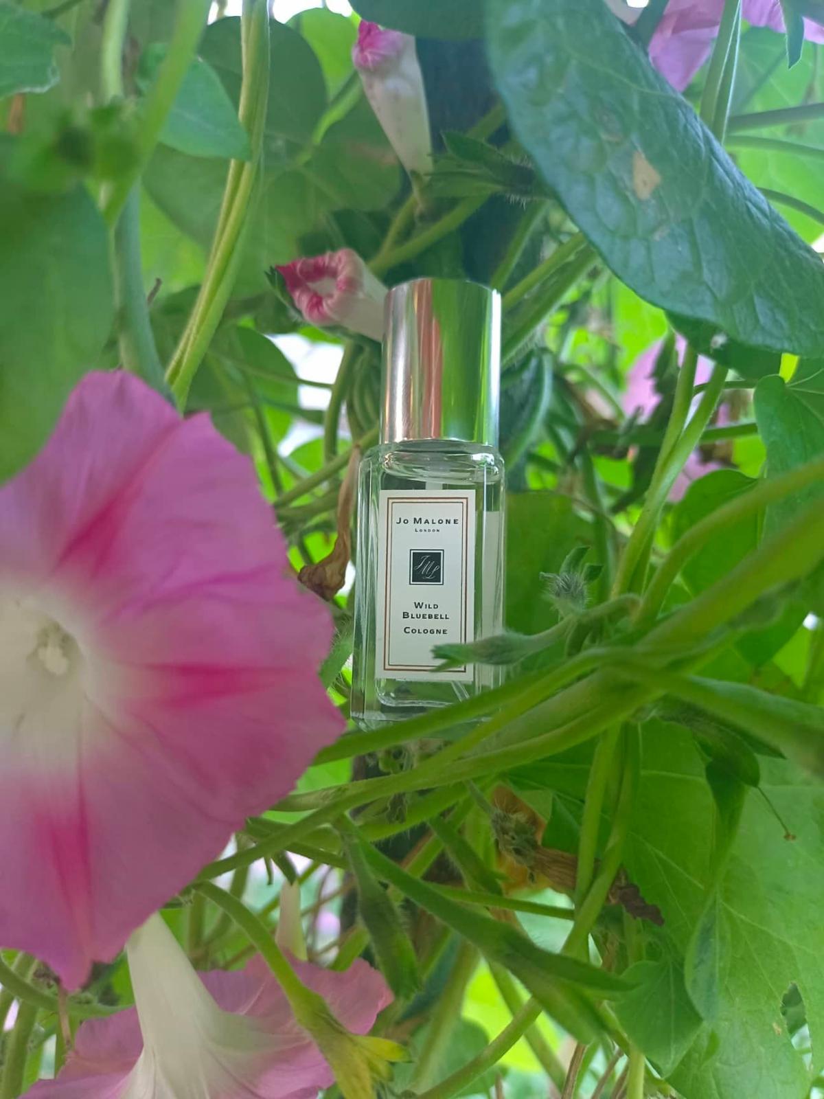 Wild Bluebell Jo Malone London parfem - parfem za žene 2011