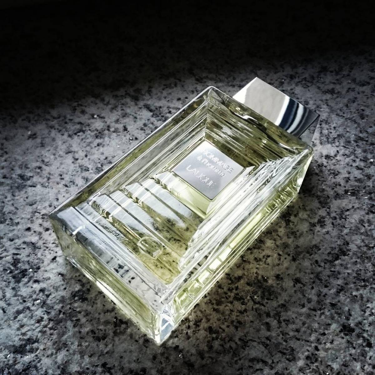 Hommage L Homme Eau De Toilette Lalique Cologne Un Parfum Pour