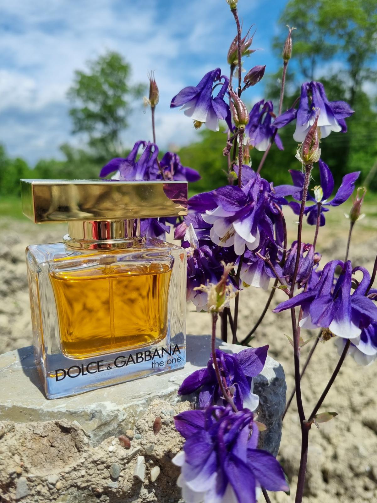 The One Eau de Toilette Dolce&Gabbana parfem - parfem za žene 2017