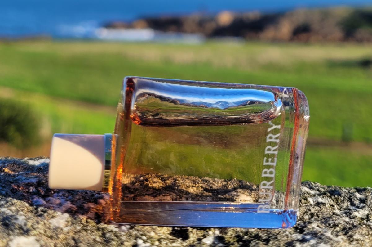 burberry her intense douglas