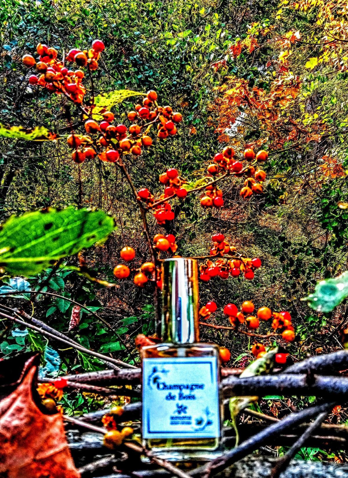 Champagne de Bois Sonoma Scent Studio 香水 一款 2008年 中性 香水