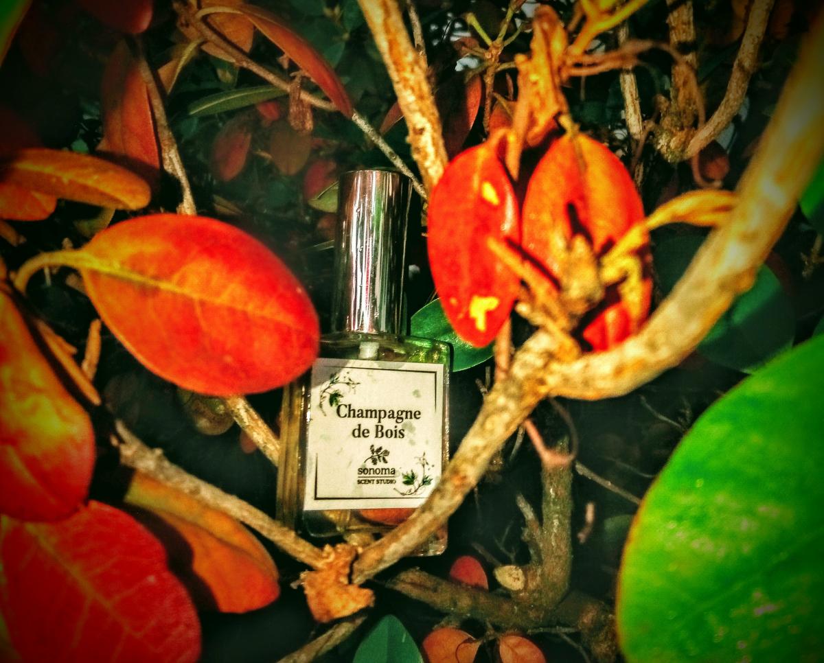 Champagne de Bois Sonoma Scent Studio аромат — аромат для мужчин и