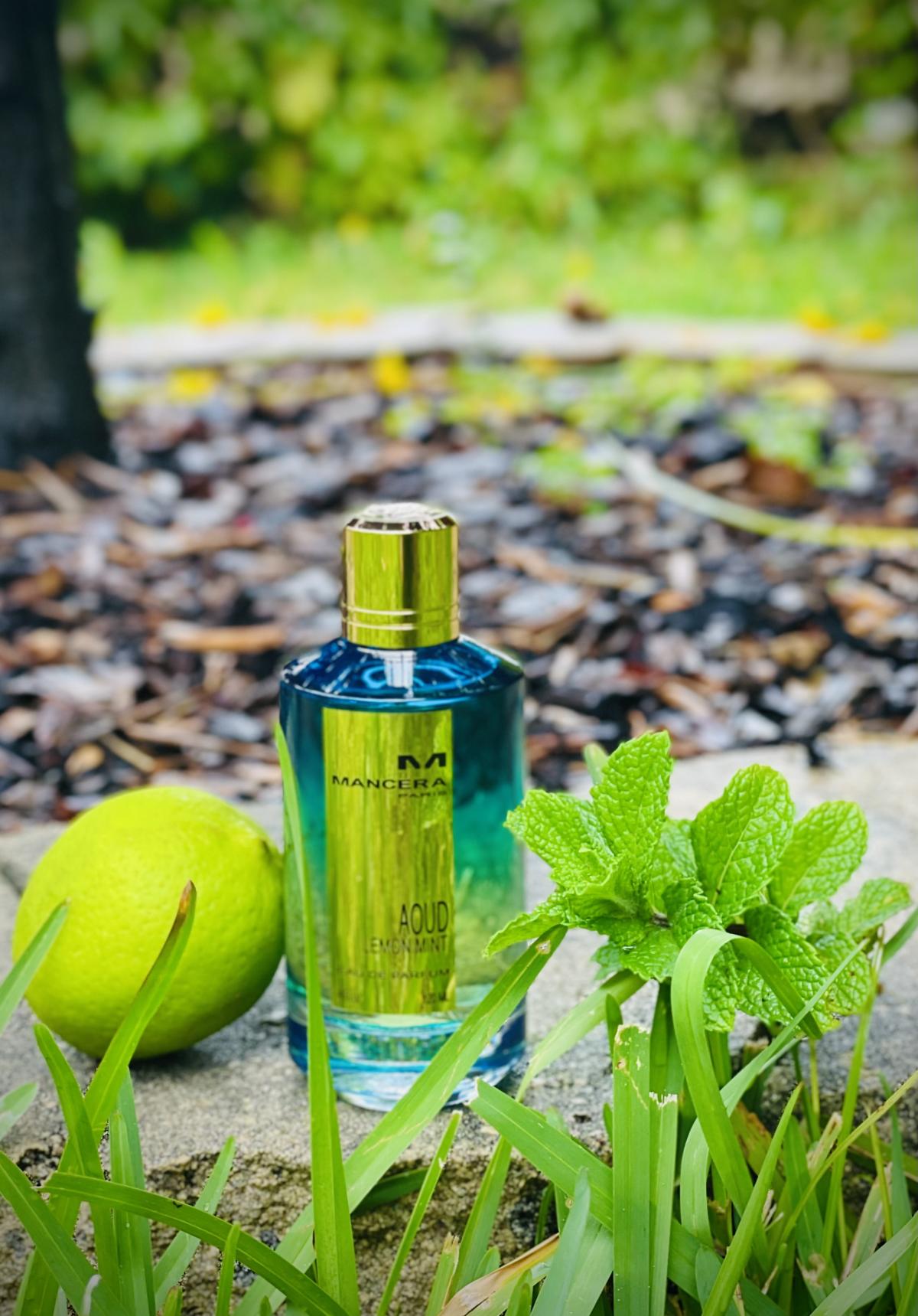 Mancera lemon mint. Mancera Aoud Lemon Mint. Lemongrass (Mint).