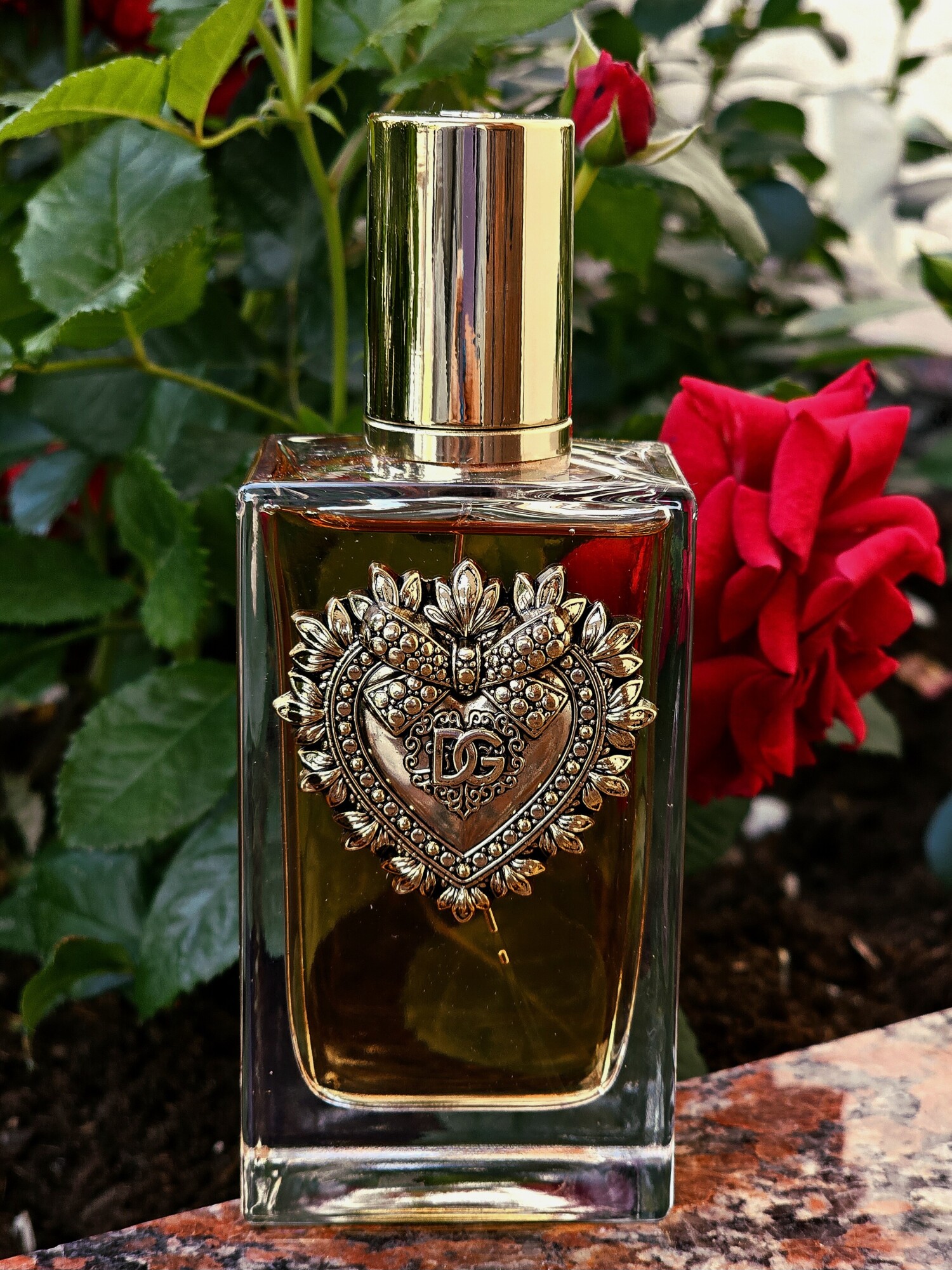 Devotion Dolce&Gabbana perfumy - to nowe perfumy dla kobiet 2023