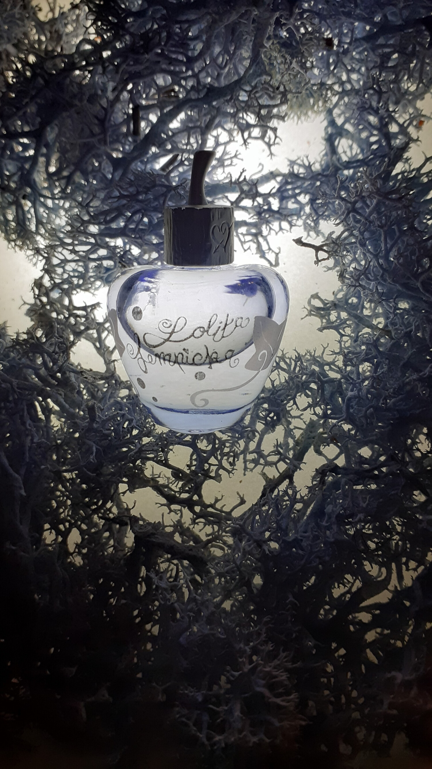Lolita Lempicka Lolitaland Eau De Parfum 40 Ml – Frisches, Blumiges Duftwasser Für Täglichen Genuss