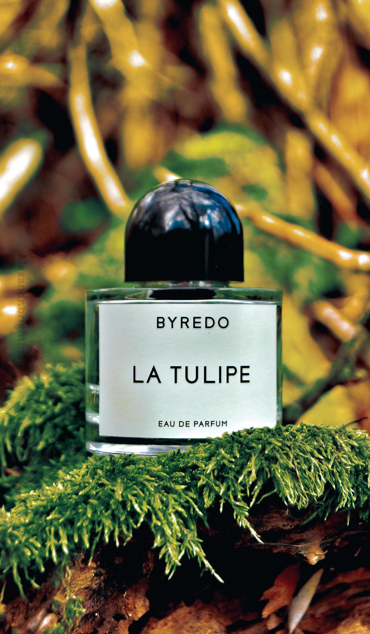 Byredo la tulipe отзывы. Байредо ла Тулип. Байредо тюльпан. Byredo la Tulip Эстетика. Ла Тулип Байредо желтая крышка.