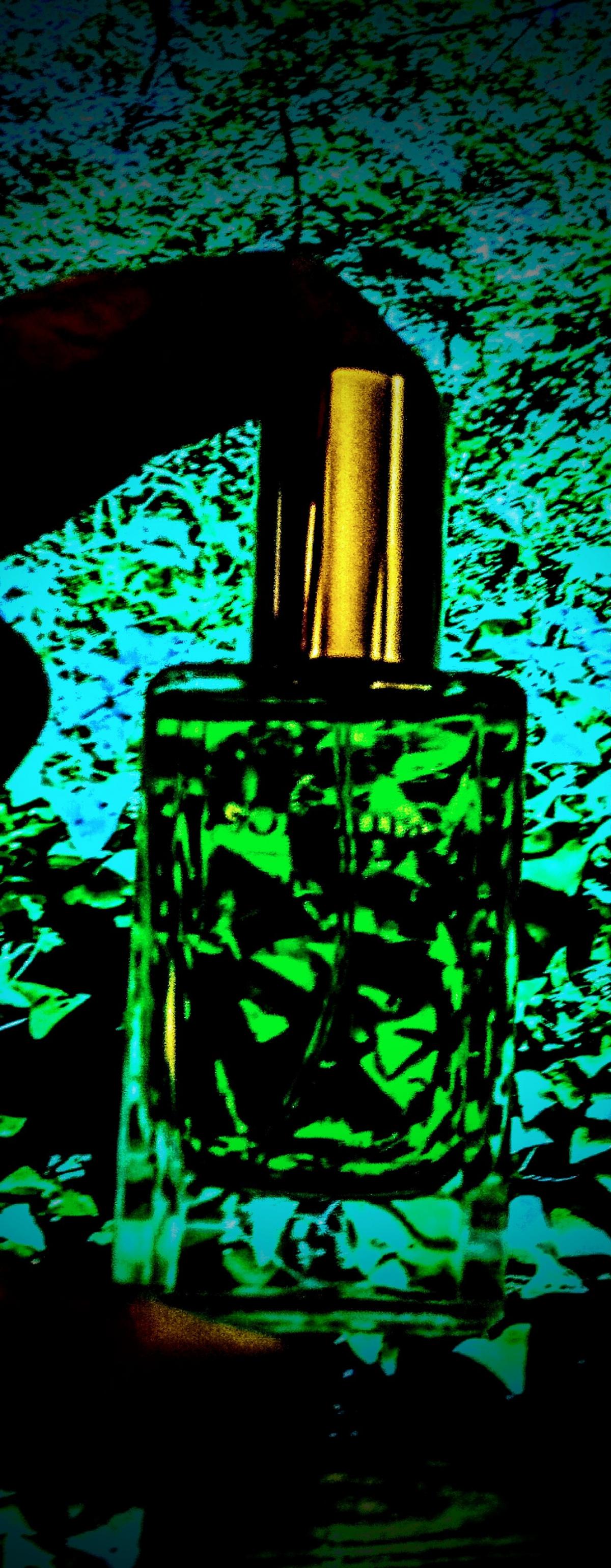 Fig Tree Sonoma Scent Studio perfume a fragrância Compartilhável 2011