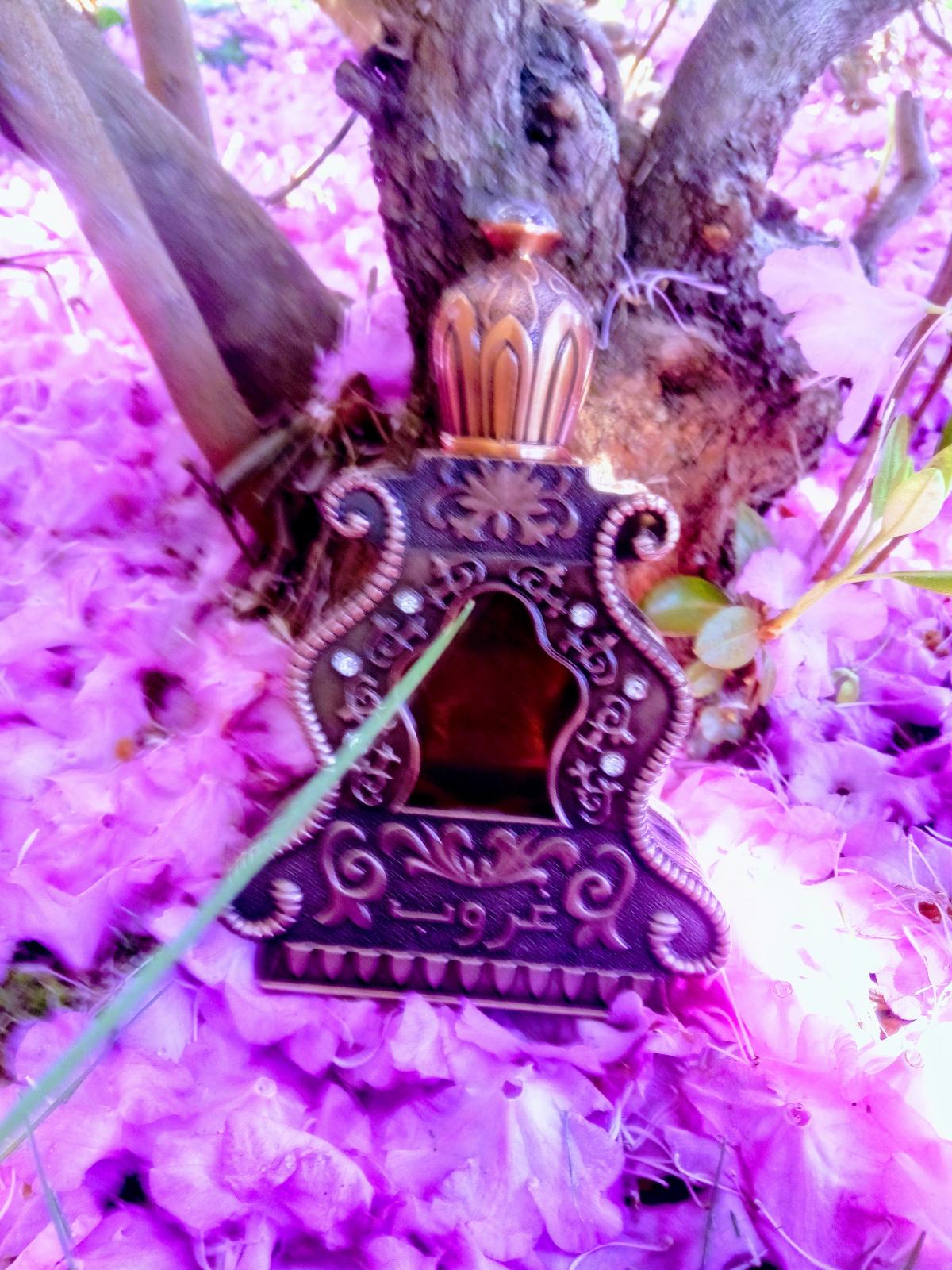 Ghroob Arabian Oud аромат — аромат для мужчин и женщин