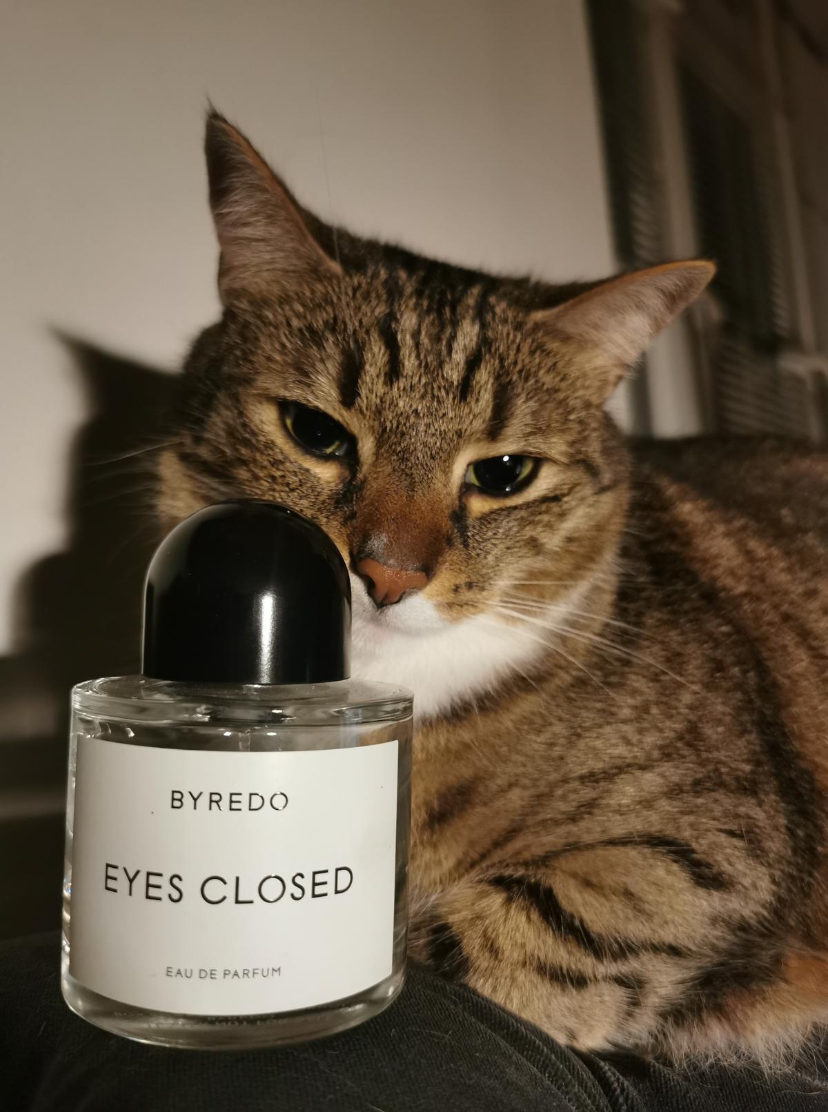 Eyes Closed Byredo parfum un nouveau parfum pour homme et femme 2022