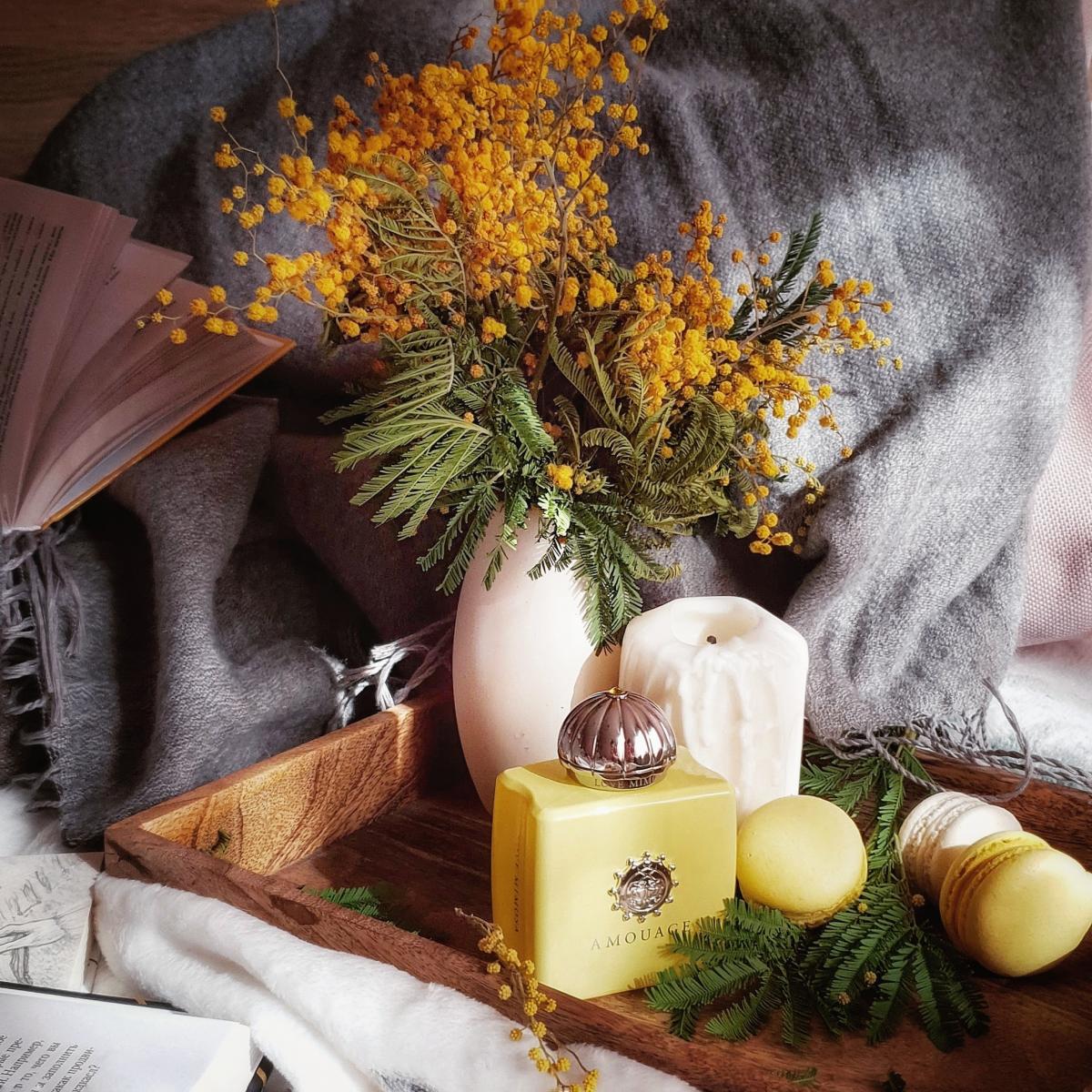 Love Mimosa Amouage аромат — аромат для женщин 2019