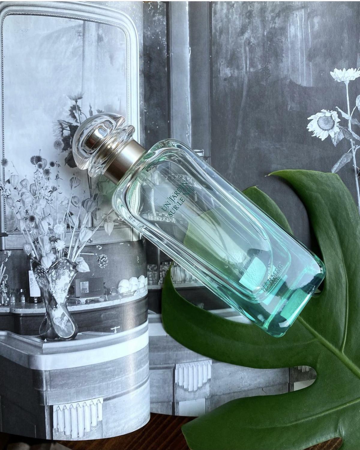 hermès parfum un jardin sur le nil