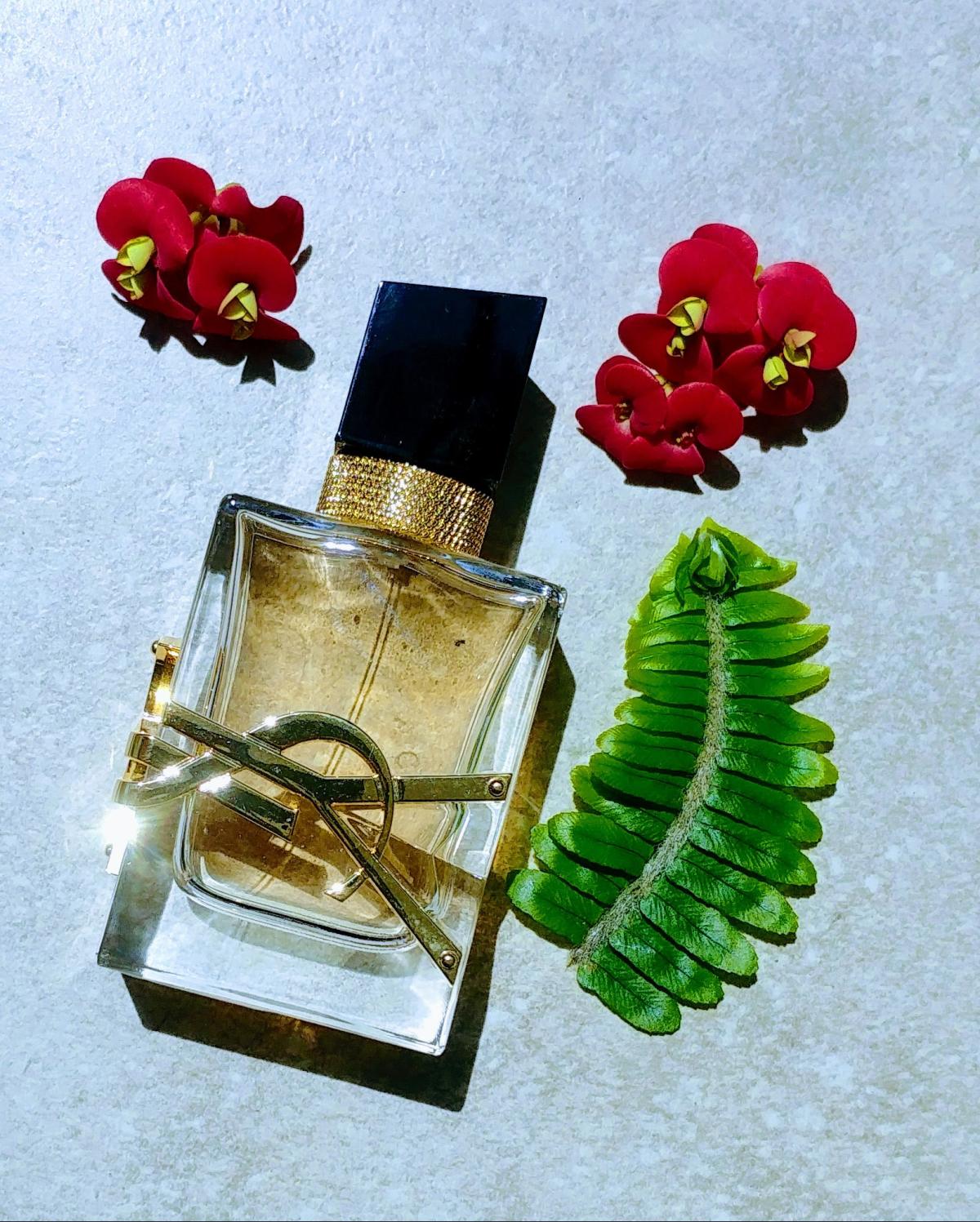 Libre Eau De Toilette Yves Saint Laurent عطر - A جديد Fragrance للنساء 2021