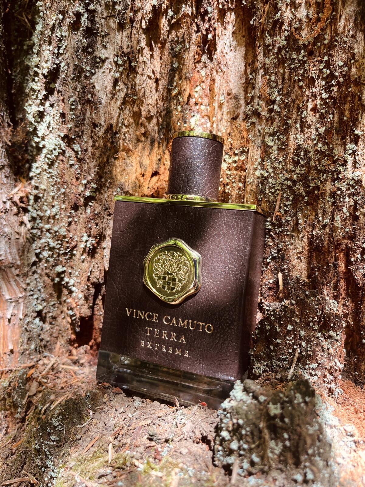 Terra Extreme Vince Camuto A Fragrance