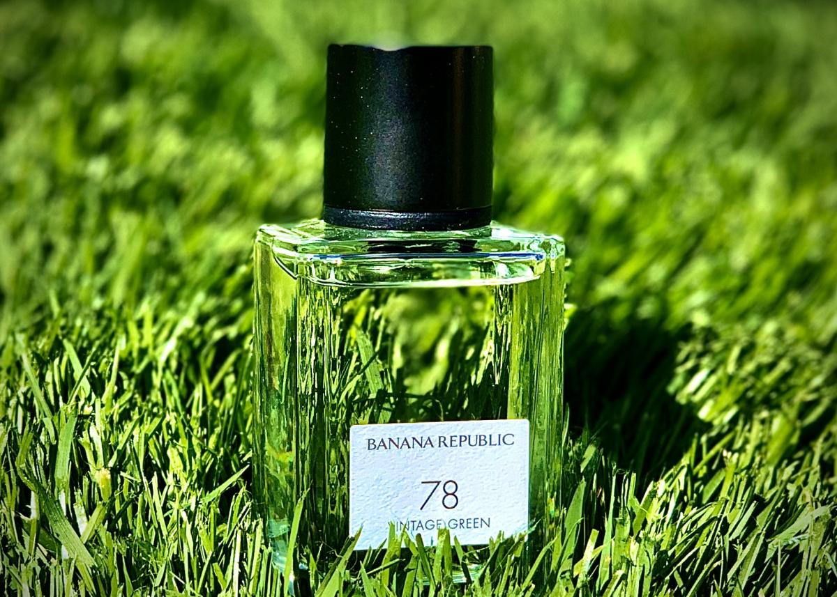 Banana republic vintage green. Ветивер корень. Ветивер Швейцария. Ветивер с духами. Ветивер запах.