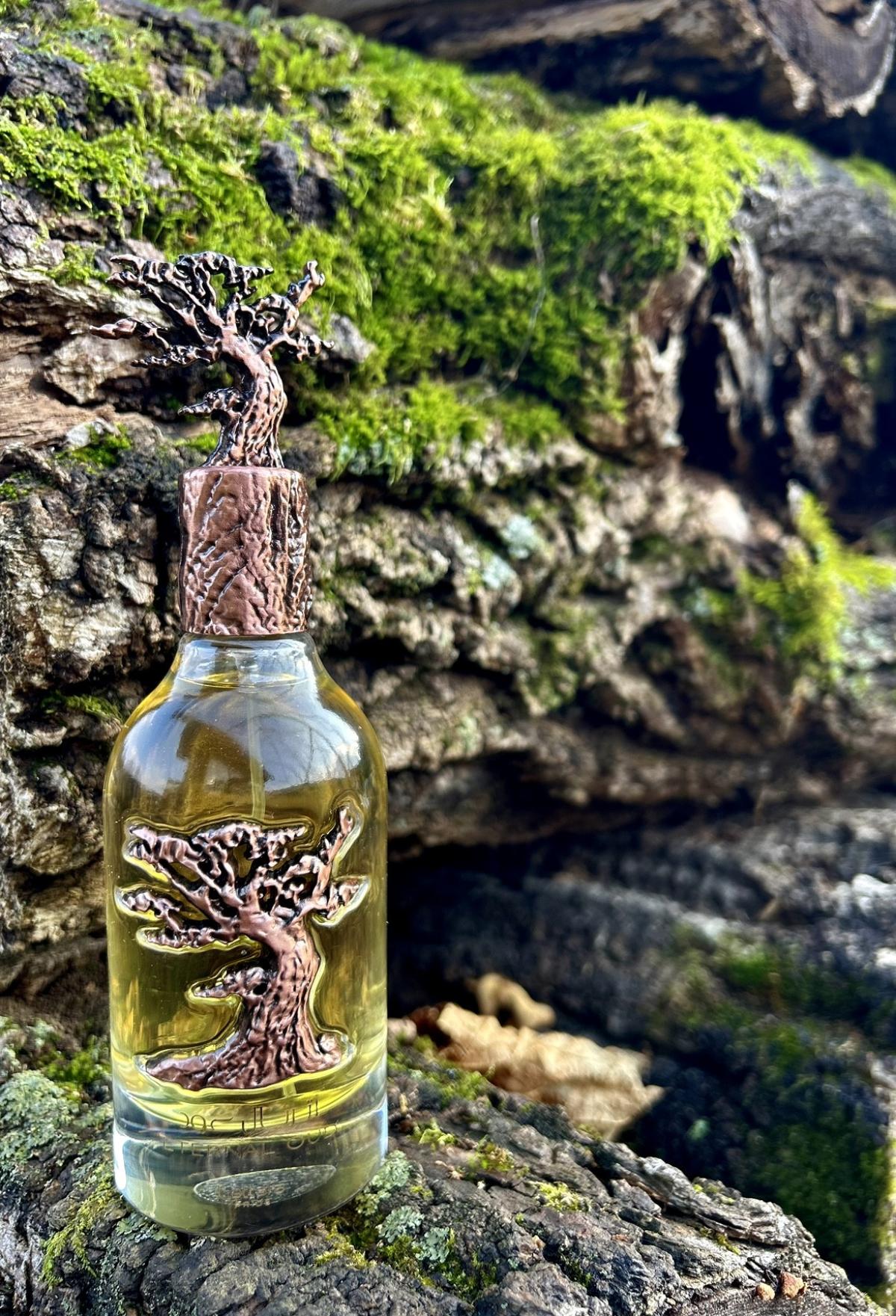 Eternal Oud Lattafa Perfumes 香水 - 一款 2022年 新的 中性 香水