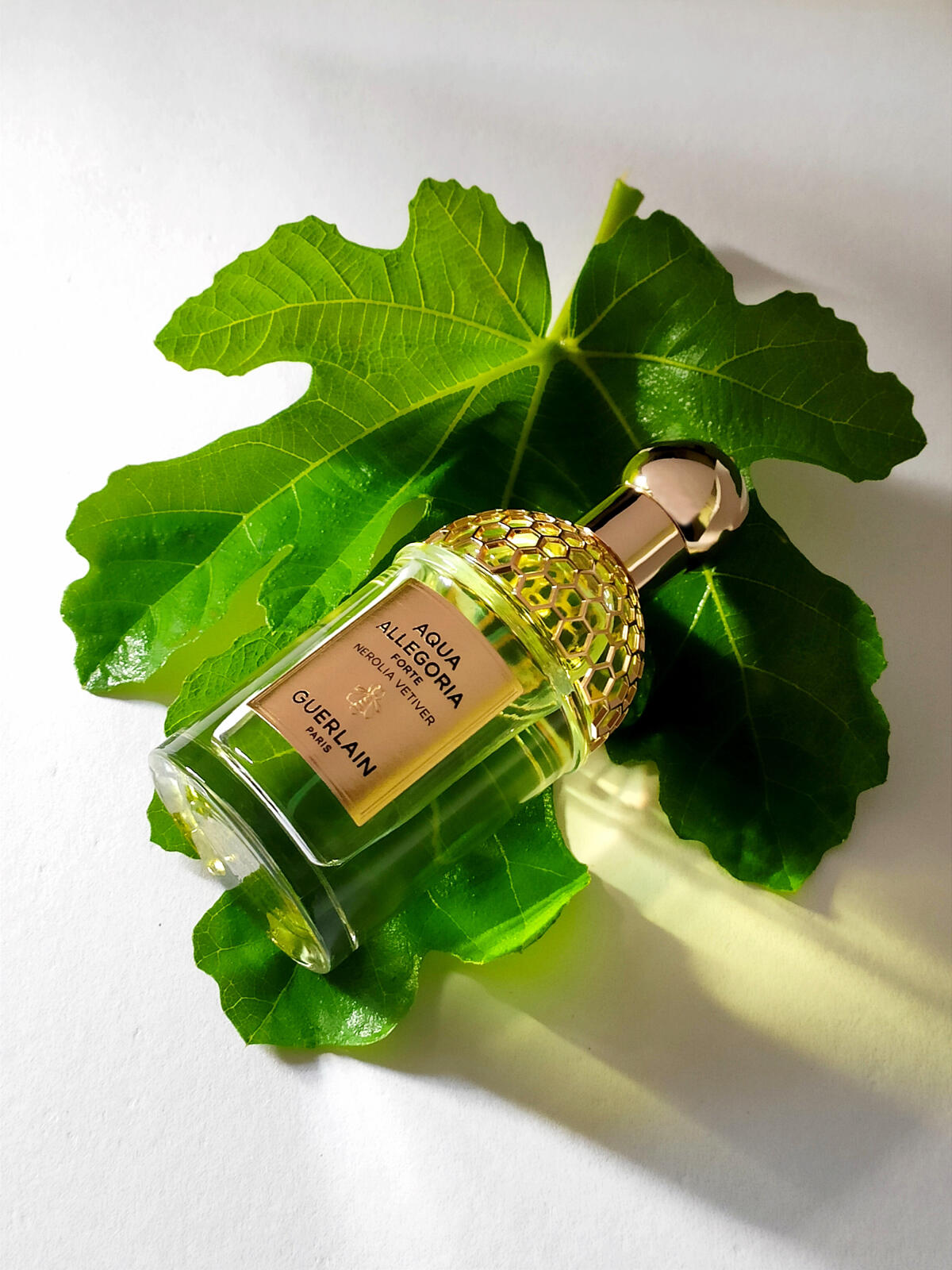 aqua-allegoria-forte-nerolia-vetiver-guerlain-perfume-a-novo