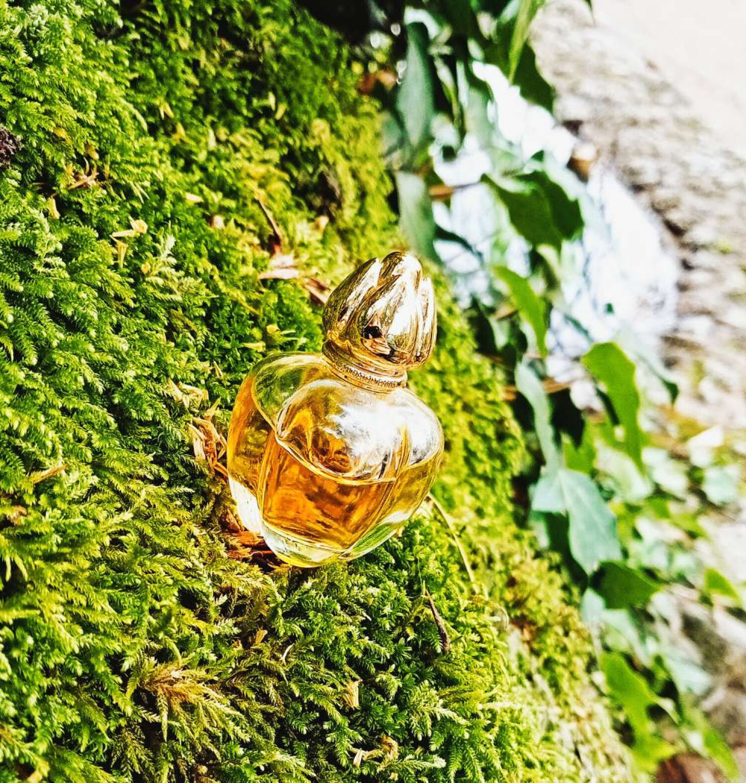 Sublime Eau de Parfum by Jean Patou Type - Fragrance Revival