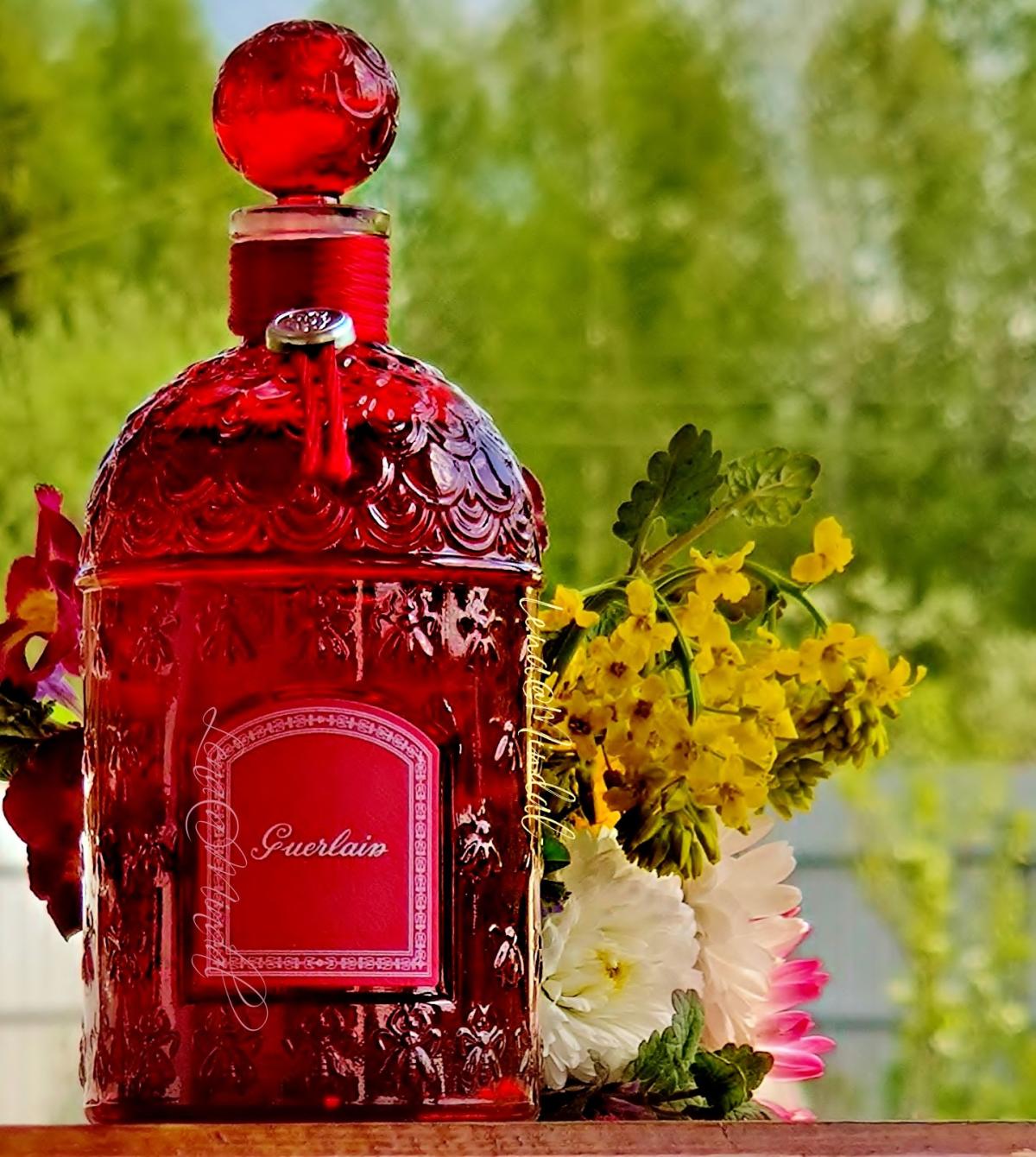 Mon Guerlain Guerlain аромат — аромат для женщин 2017
