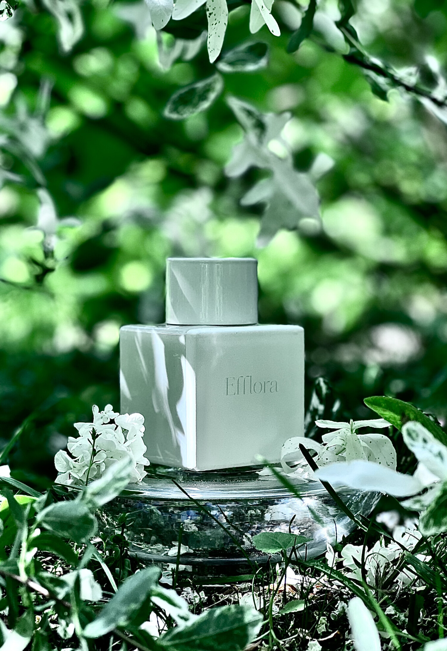 efflora-odin-perfume-a-fragr-ncia-feminino-2014