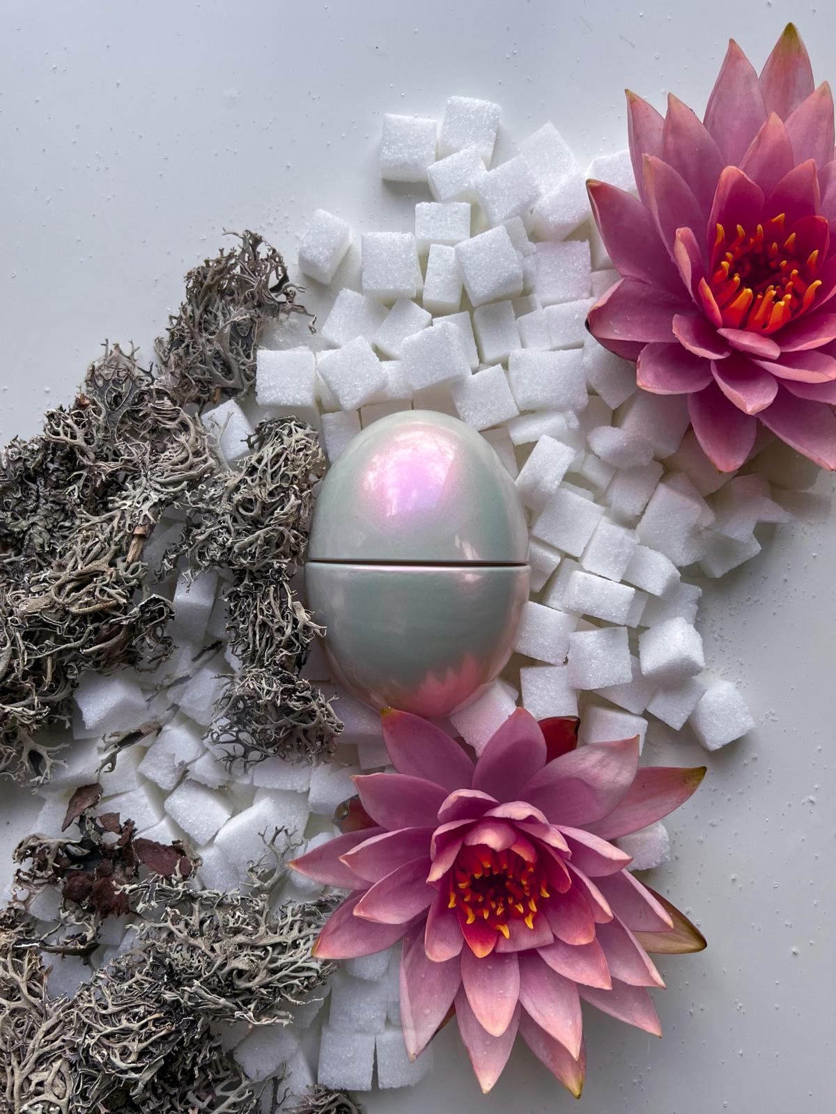 Opal Drip KKW Fragrance perfume a fragrância Feminino 2021