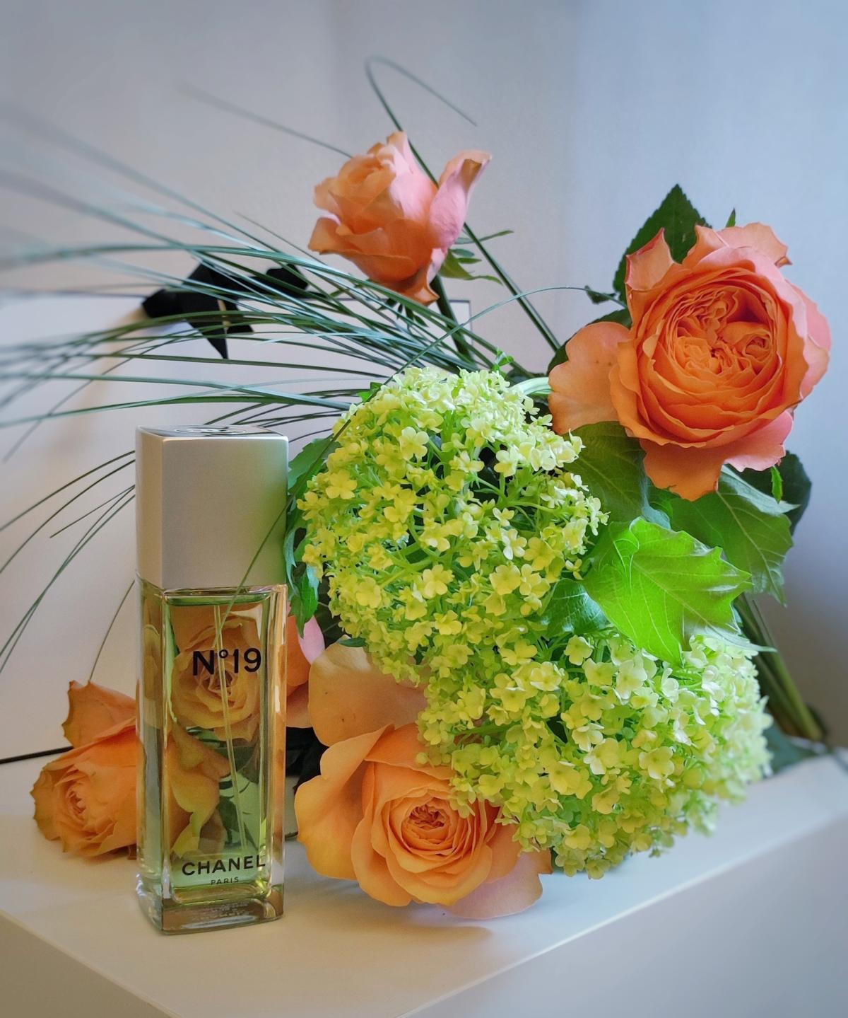 Chanel N 19 Eau De Toilette 2023 Chanel 2023 chanel-n-19-eau-de-toilette-2023-chanel-2023