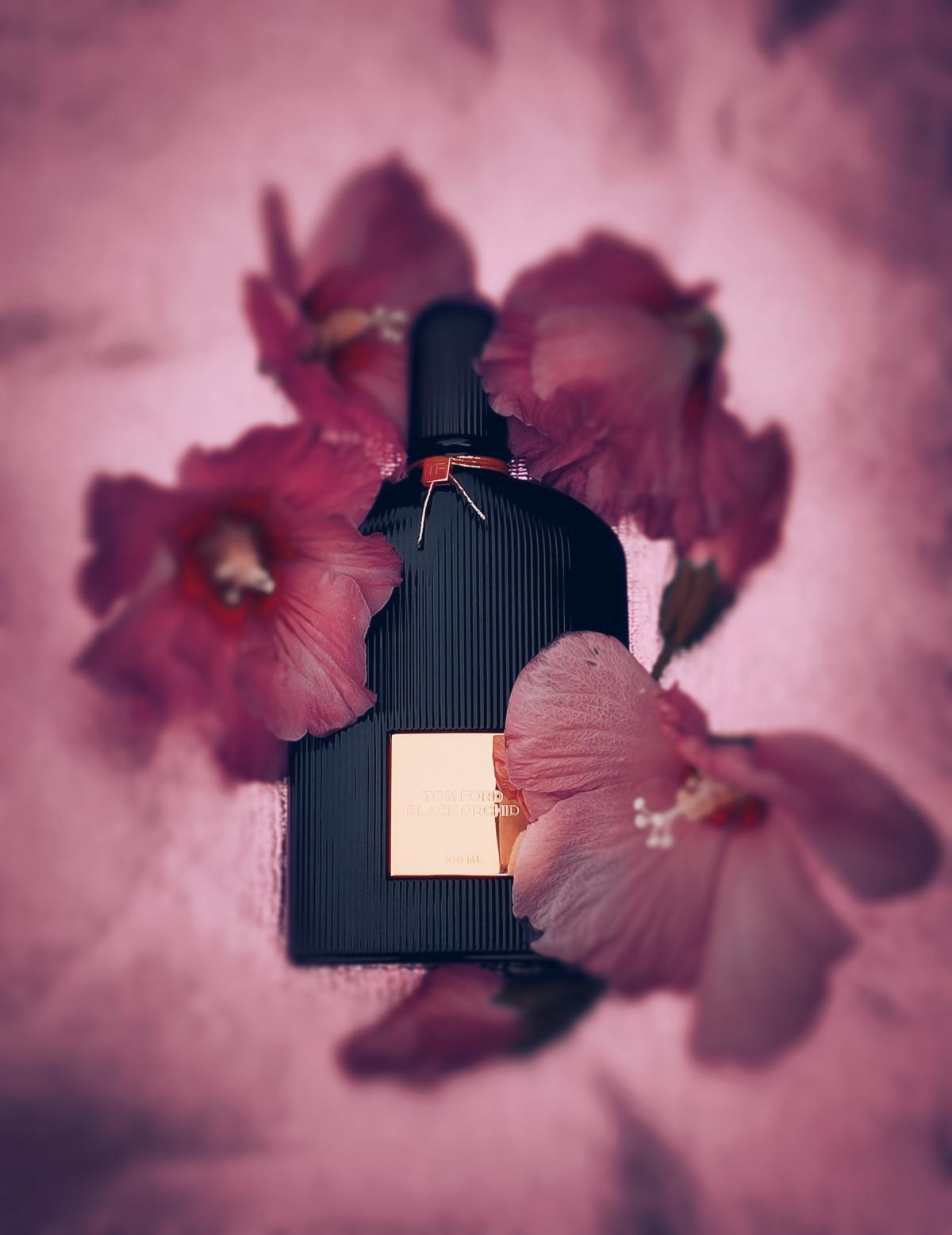 Black Orchid Tom Ford Parfum - ein es Parfum für Frauen 2006