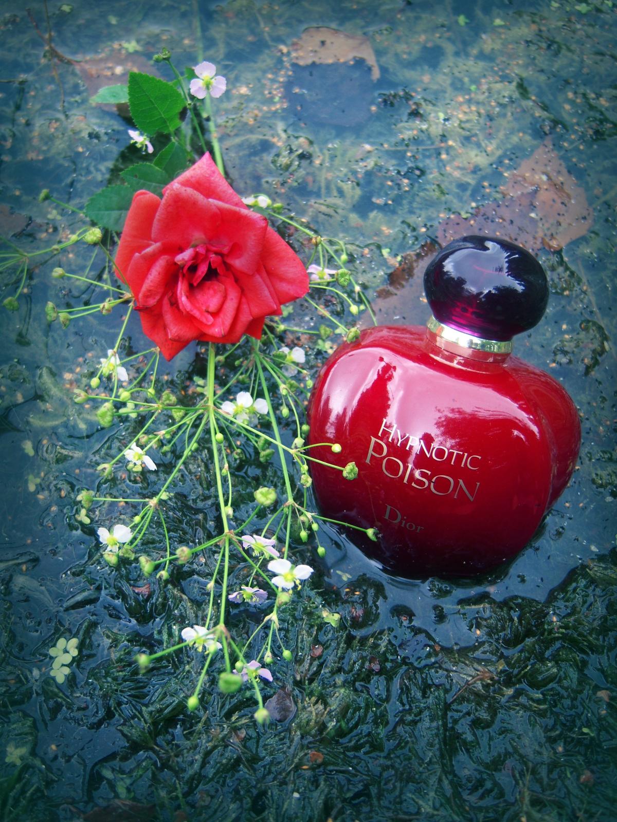Hypnotic Poison Dior аромат — аромат для женщин 1998