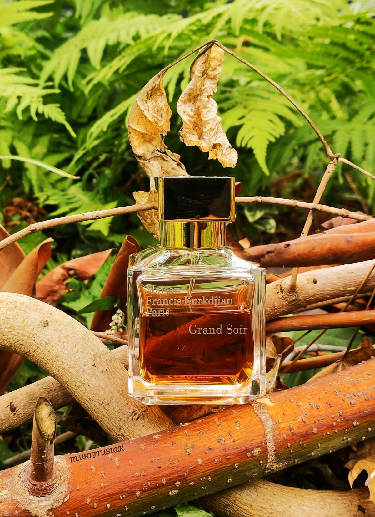 Grand Soir Maison Francis Kurkdjian parfum un parfum pour homme et femme 2016
