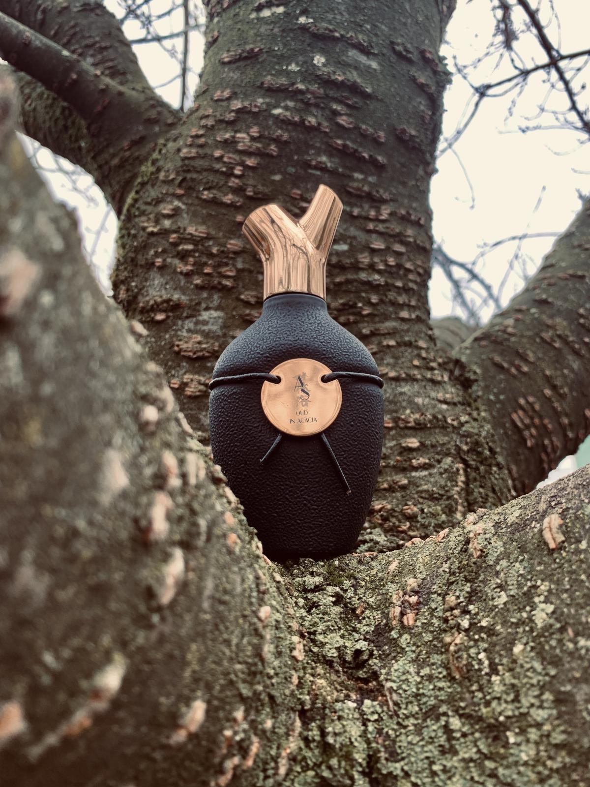 Oud in Acacia Scents of Wood parfum un parfum pour homme et femme 2020