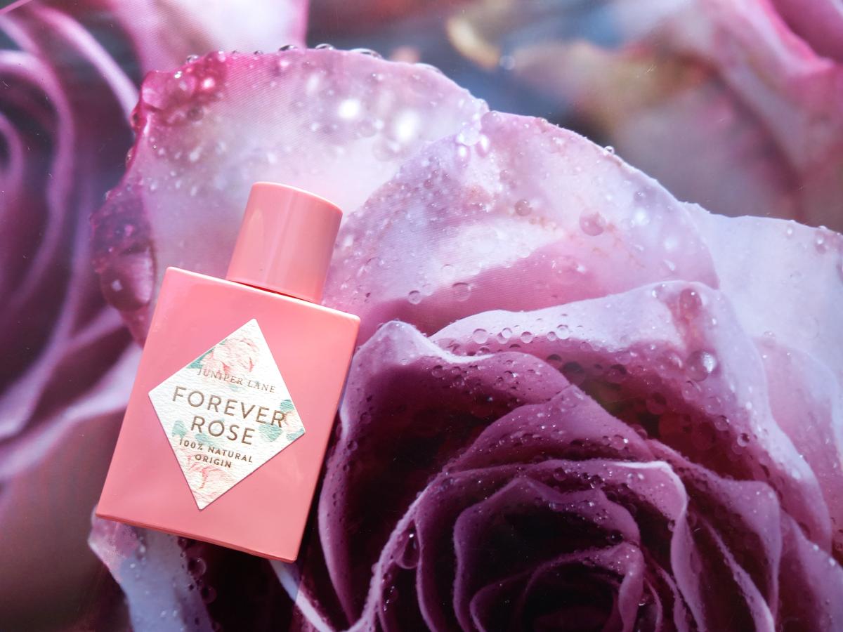 Forever Rose Juniper Lane Perfumes عطر a fragrance للنساء 2019