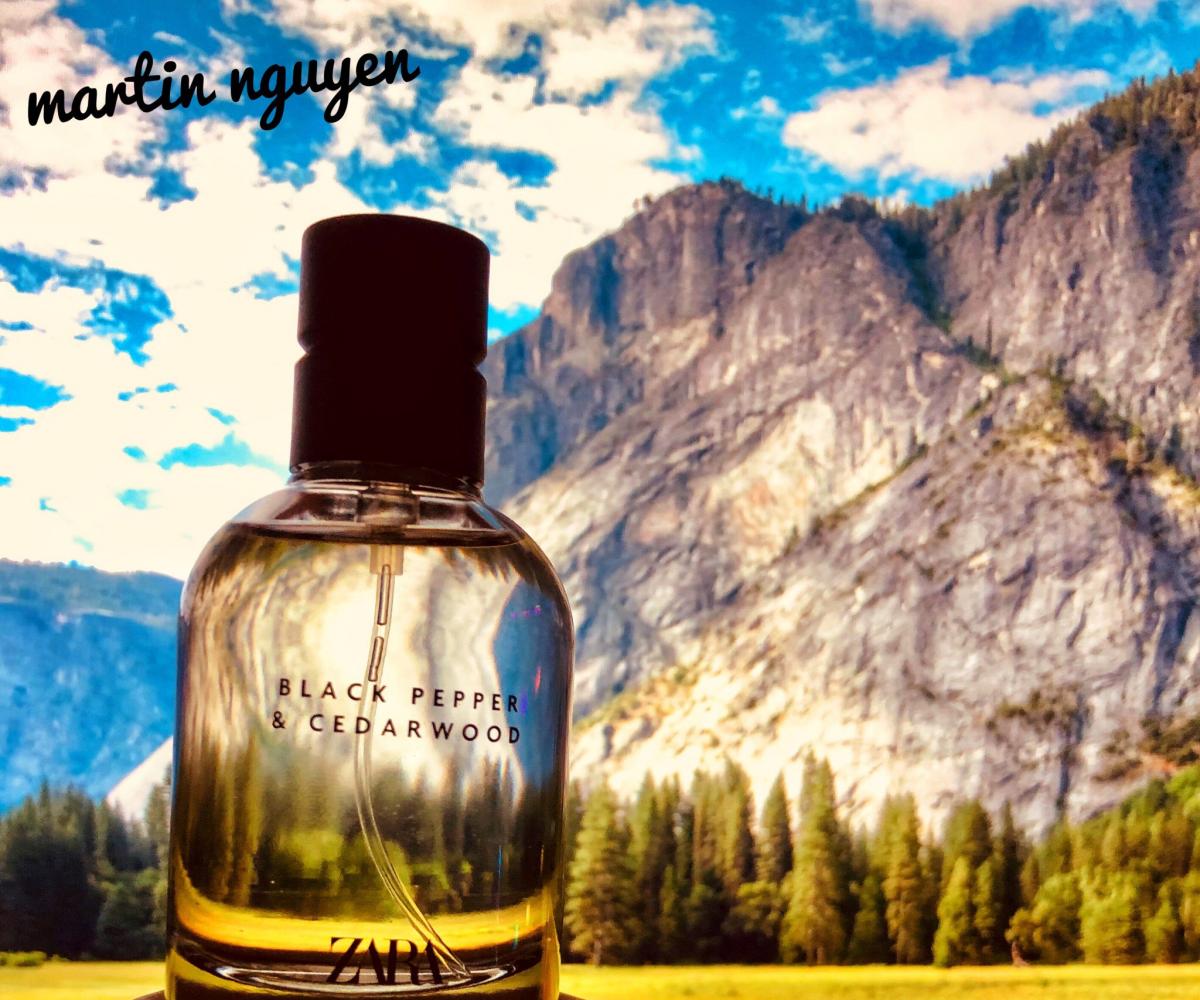 Black Pepper & Cedarwood Zara Kolonjska voda parfem za muškarce 2020