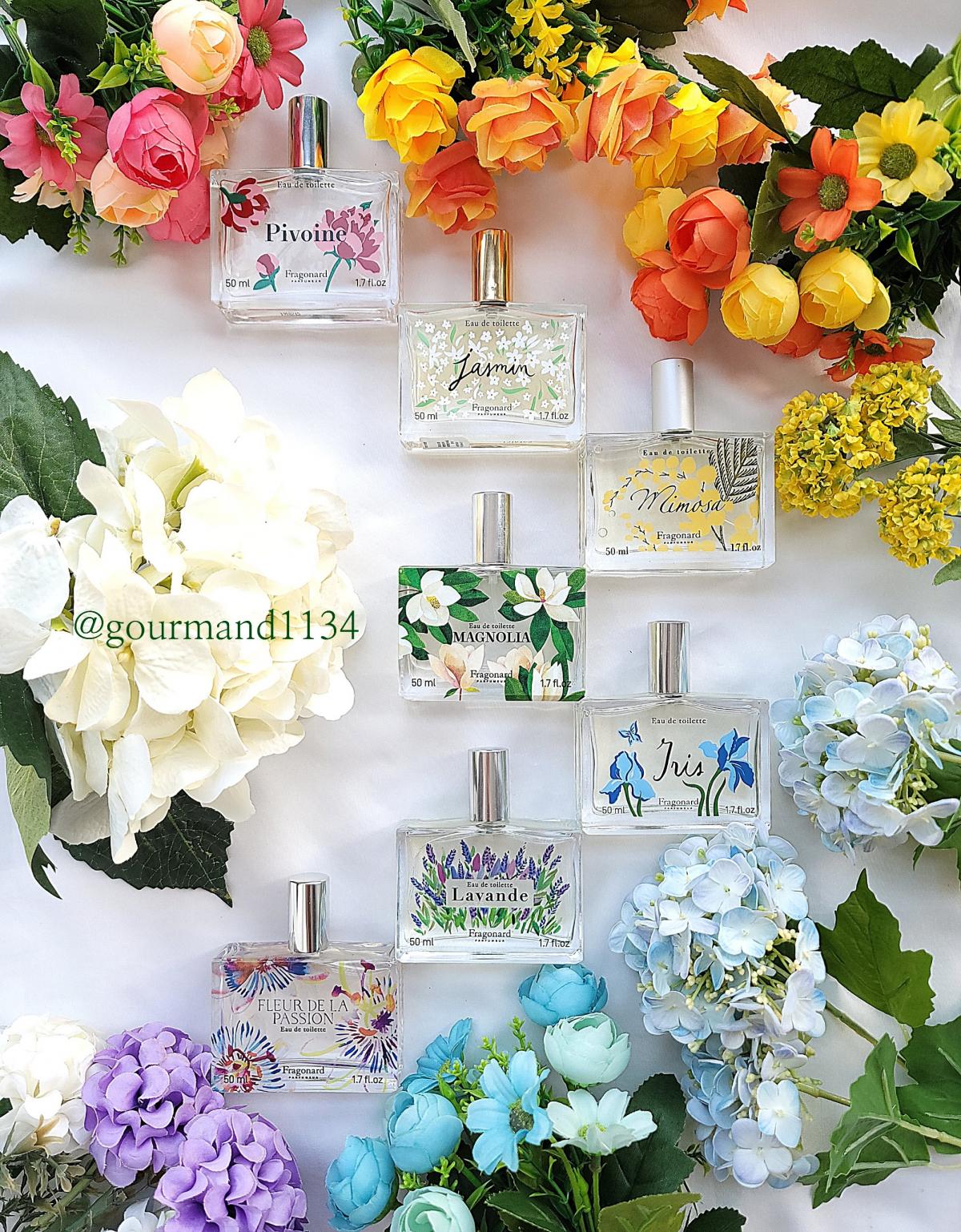 Jasmin Fragonard fragancia una fragancia para Mujeres 2015