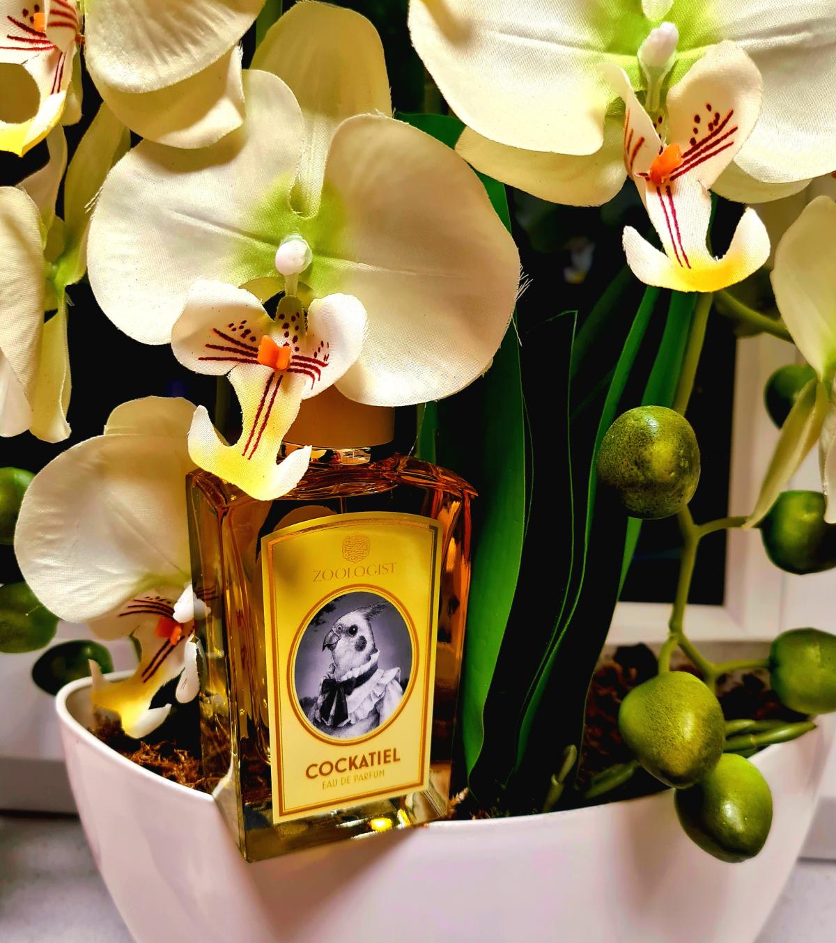 Cockatiel Zoologist Perfumes аромат — новый аромат для мужчин и женщин 2022