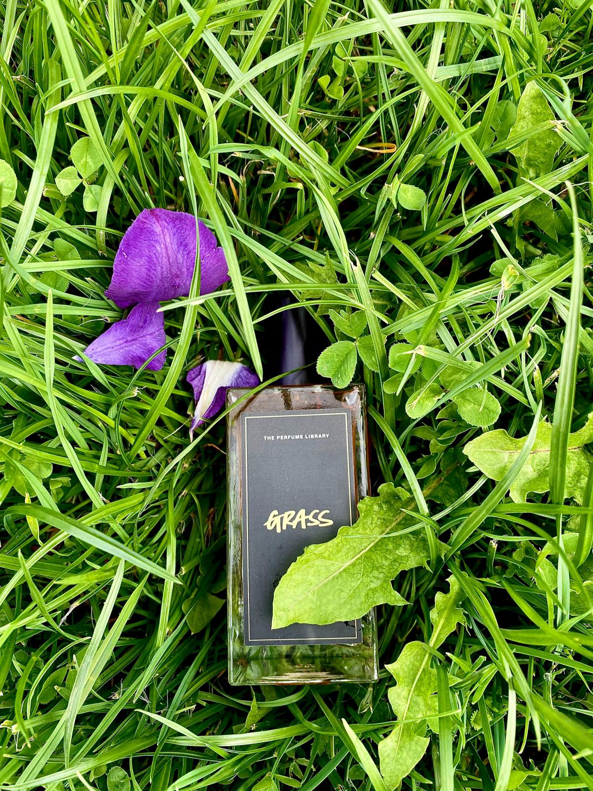 Grass Lush Parfum - ein es Parfum für Frauen und Männer 2018