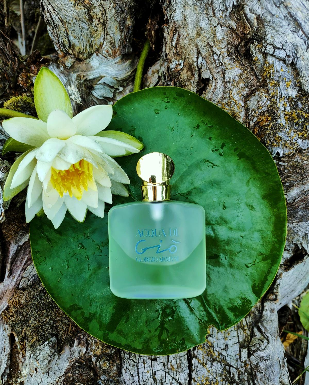 giorgio armani acqua di gio