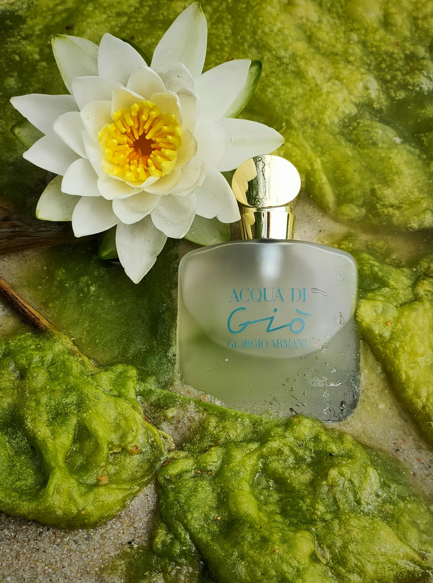 acqua de giorgio armani