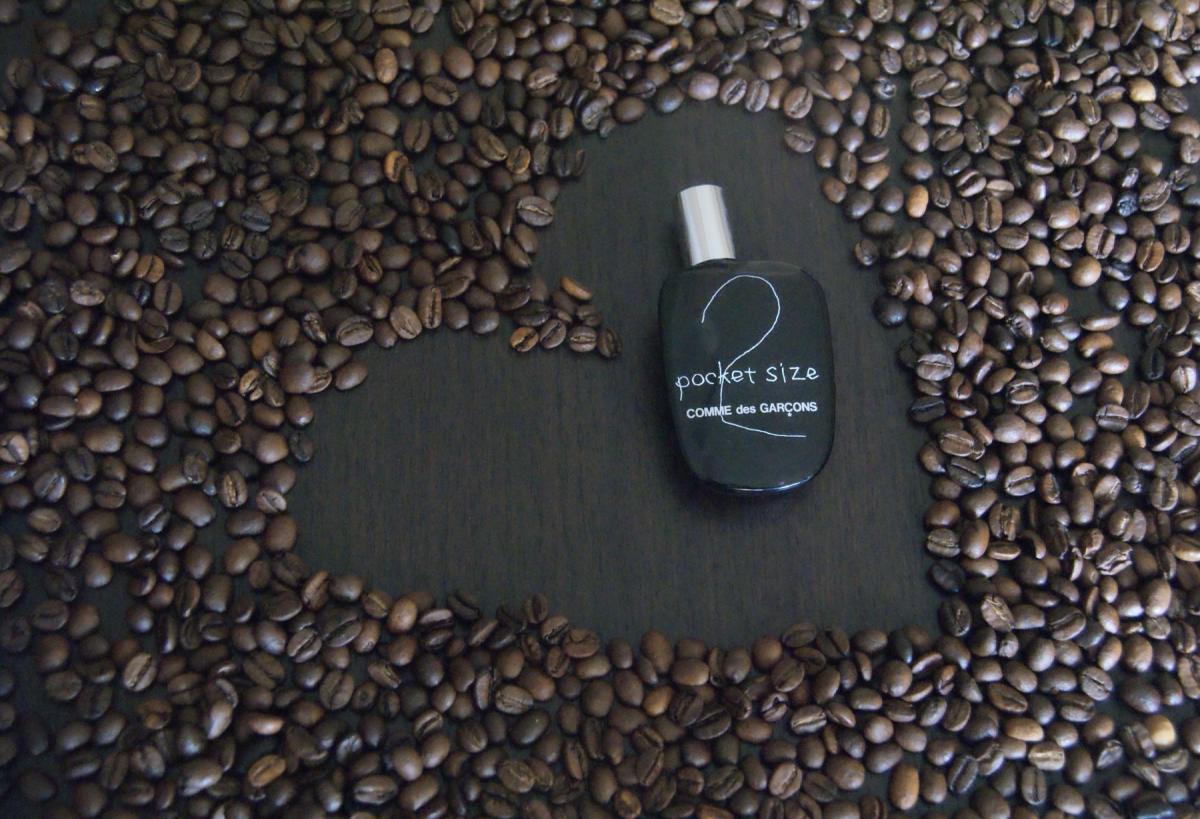 comme des garcons forces