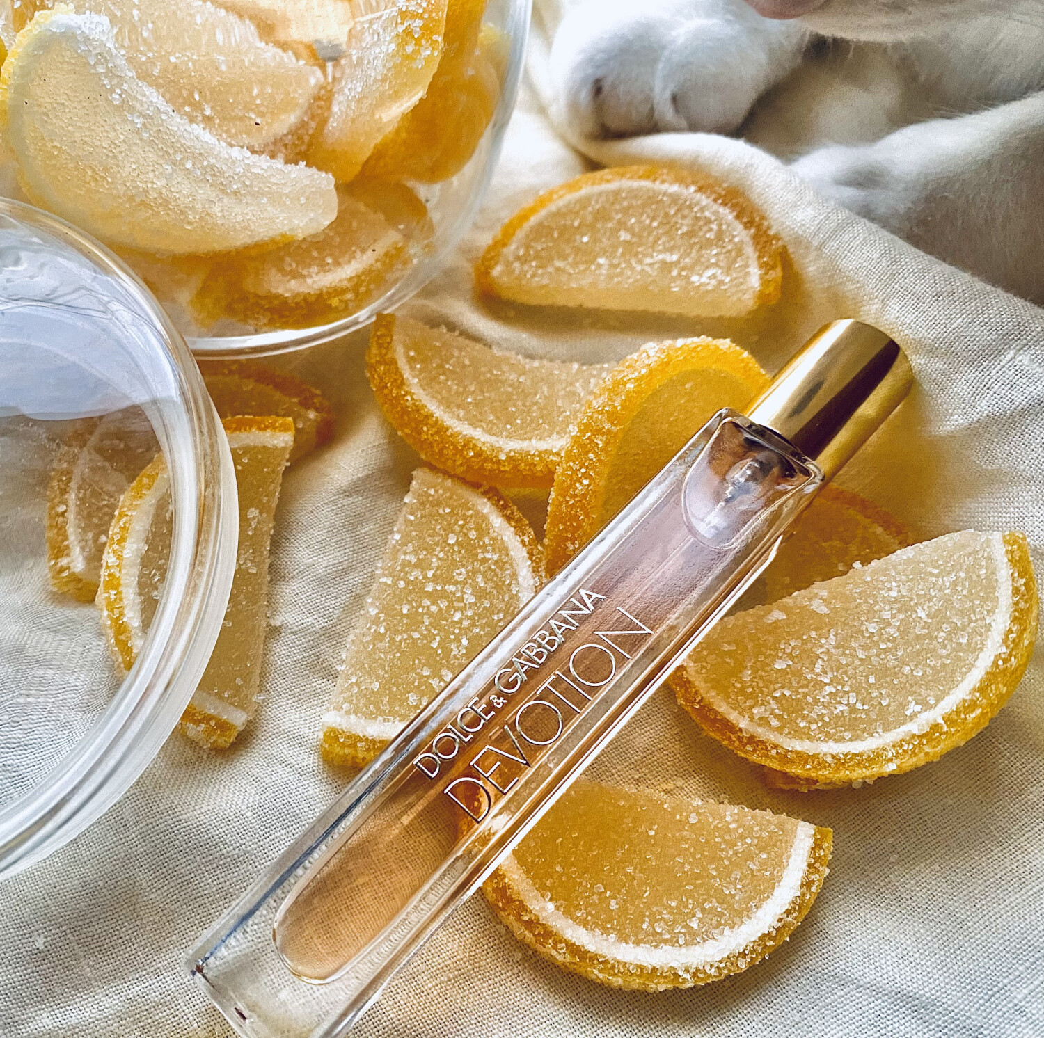 Devotion Dolce&Gabbana perfumy - to nowe perfumy dla kobiet 2023