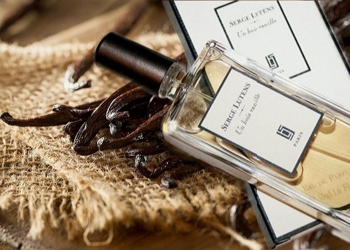 Bois vanille. Bois fragrantica.