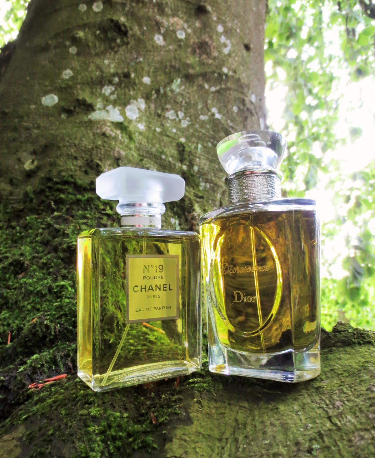 Chanel No 19 Poudre Chanel аромат — аромат для женщин 2011
