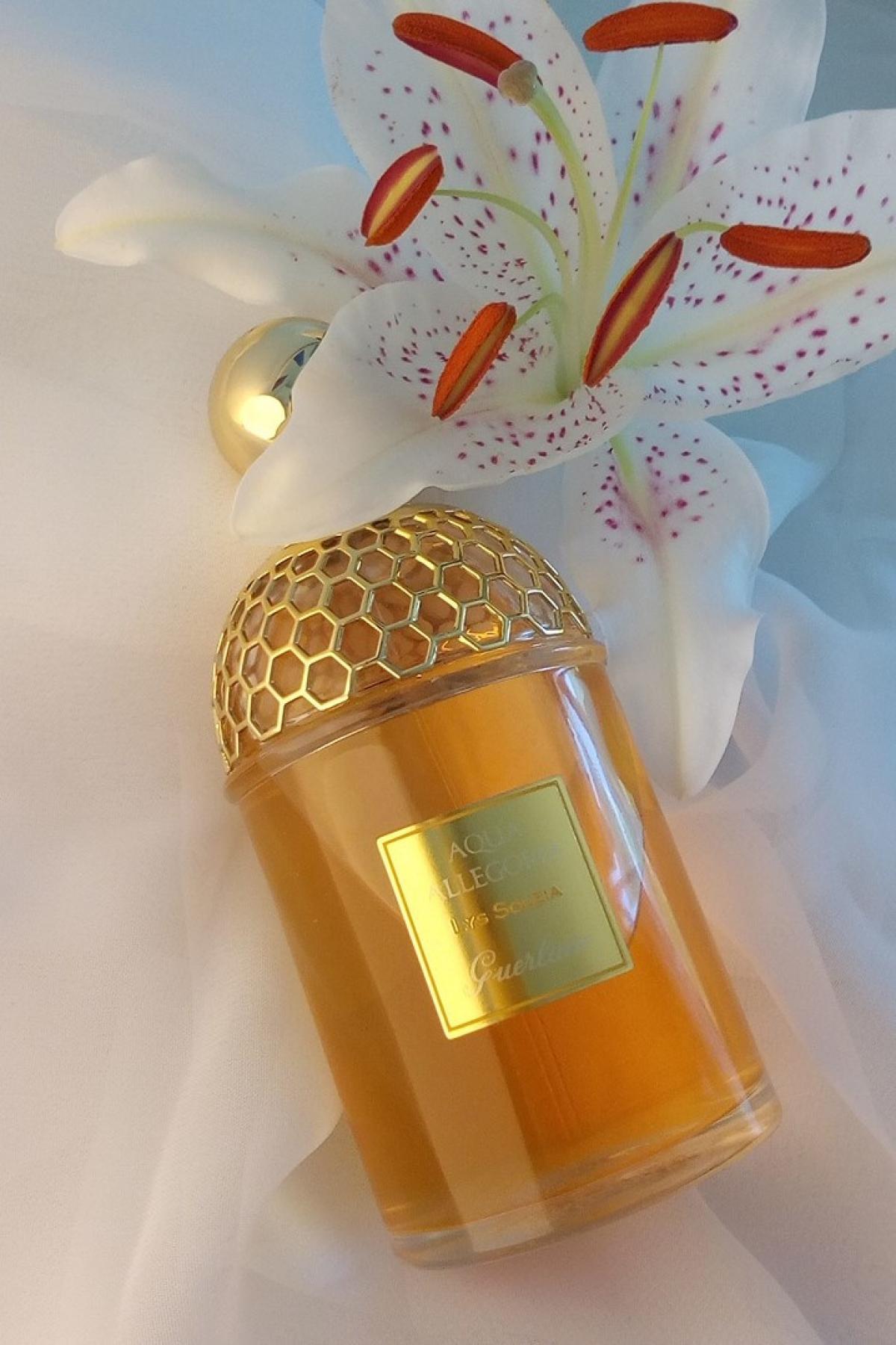 Aqua allegoria orange. Guerlain Aqua Allegoria LYS Soleia. Guerlain Aqua Allegoria Orange Soleia. Guerlain Aqua Allegoria LYS Soleia Ноты. Австралийские духи.