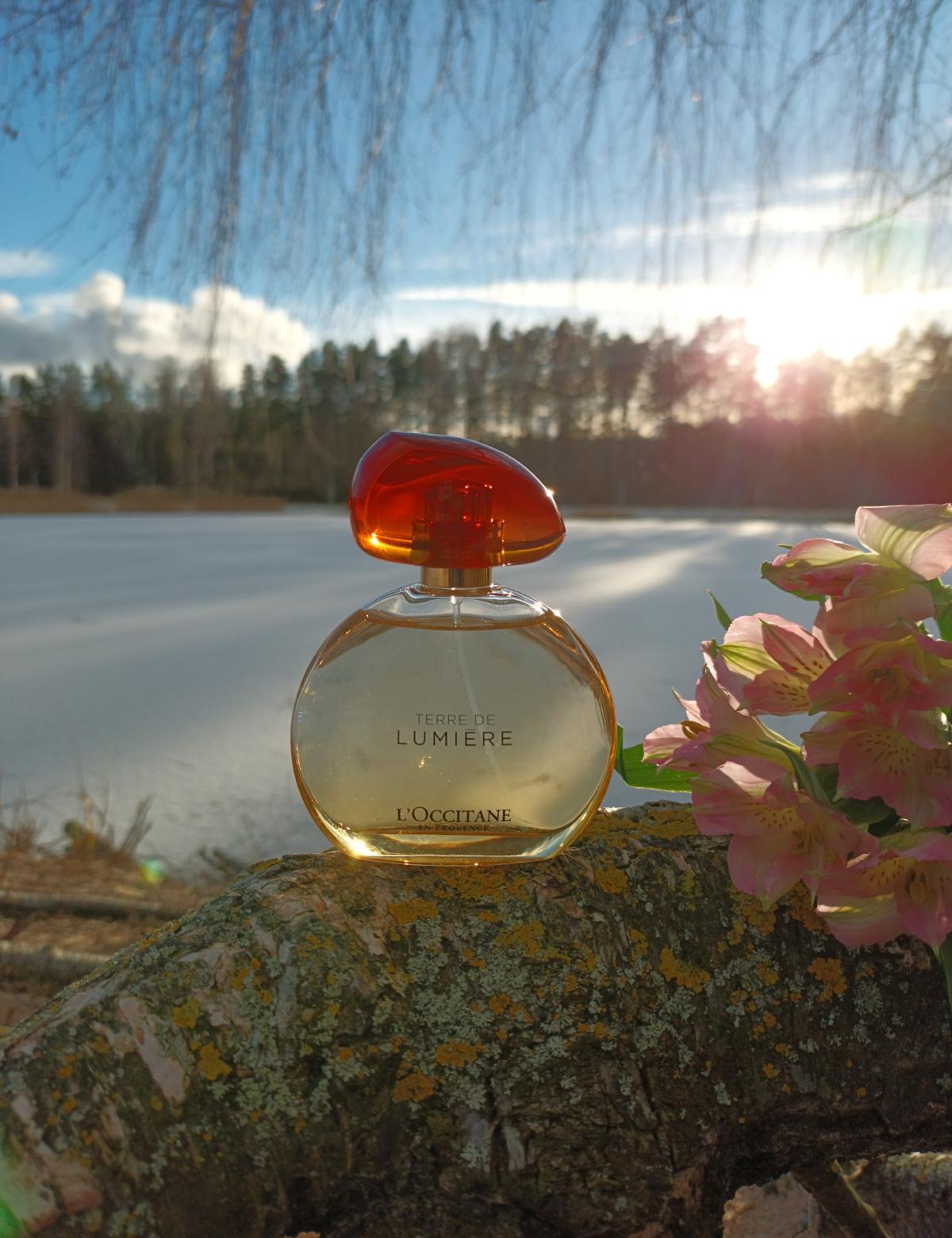 L'Occitane Terre de Lumière - acheter sur