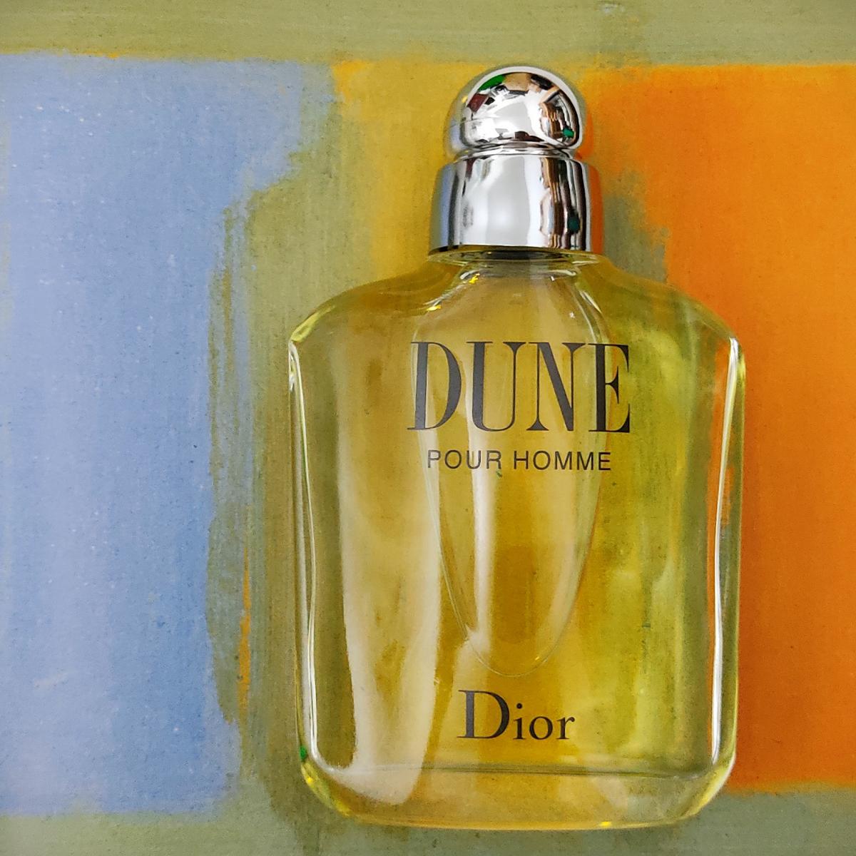 Christian dior man. Духи Дюна Кристиан диор. Christian Dior Dune for men. Dior Dune мужской. Кристиан диор Дюна мужская туалетная вода.