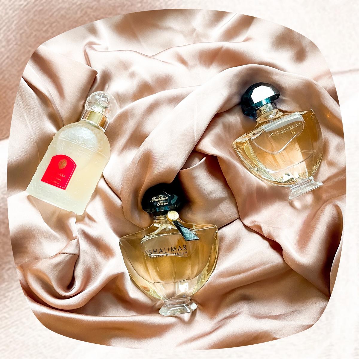 shalimar philtre