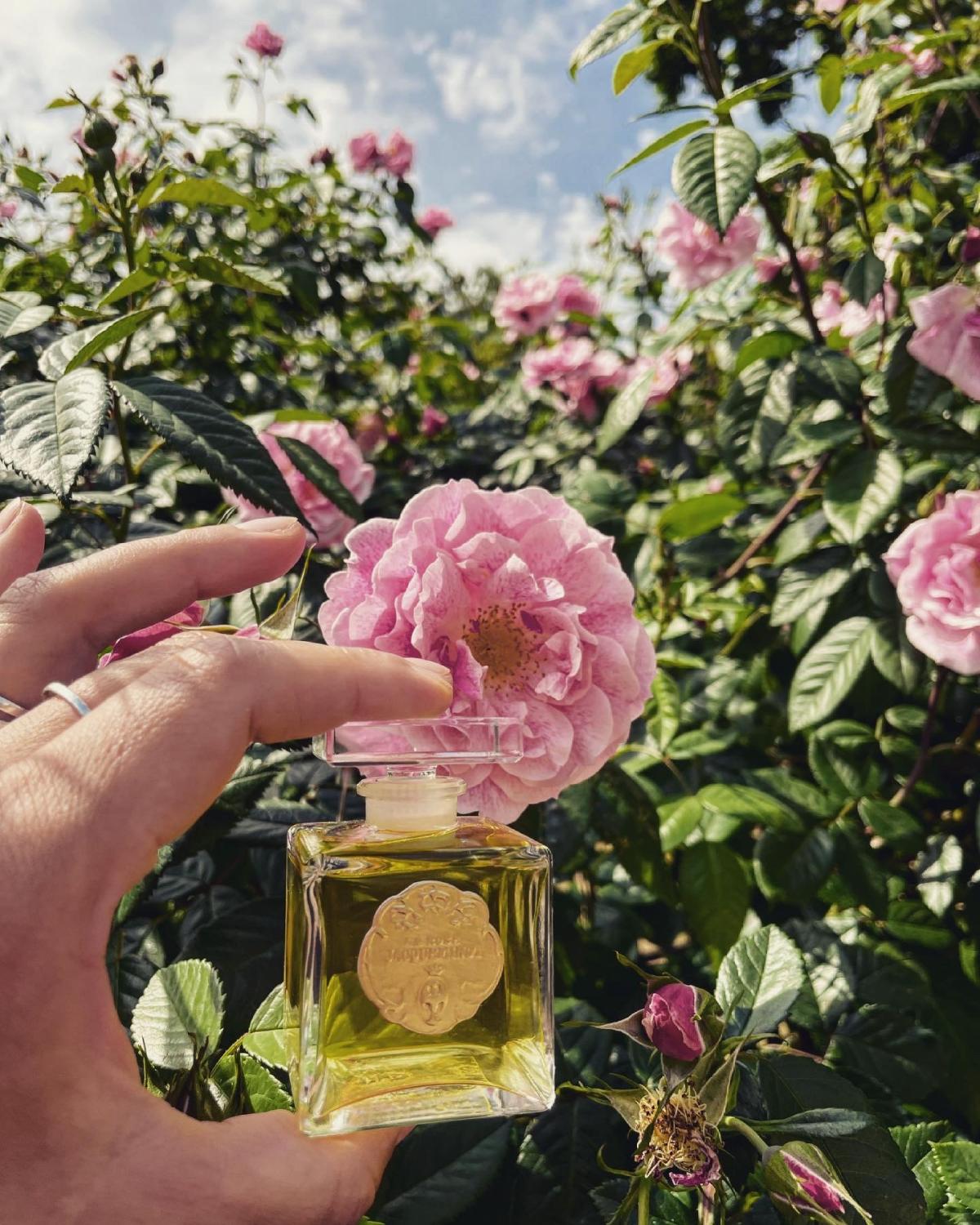 La Rose Jacqueminot Coty عطر a fragrance للنساء 2020