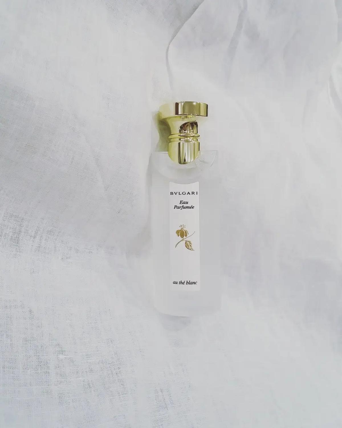 Eau Parfumee au The Blanc Bvlgari Parfum - ein es Parfum für Frauen und ...