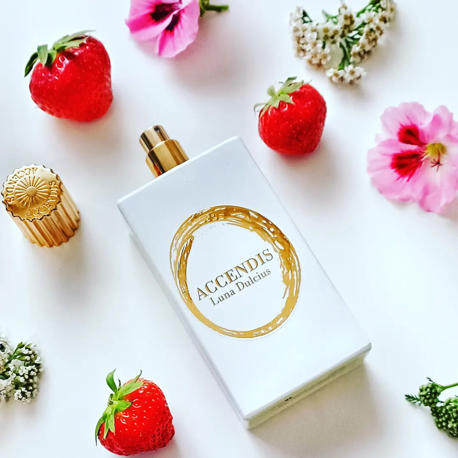 ACCENDIS Lucepura Eau De Parfum Unisex – Holziger Duft, 100 Ml Flakon